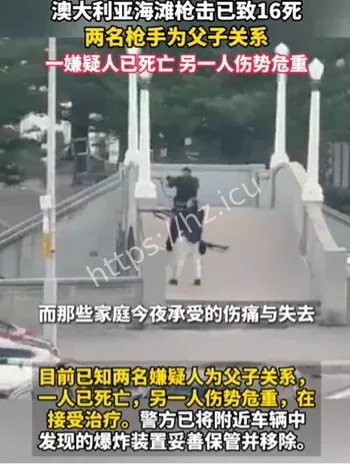 邦迪海滩光明节枪击事件